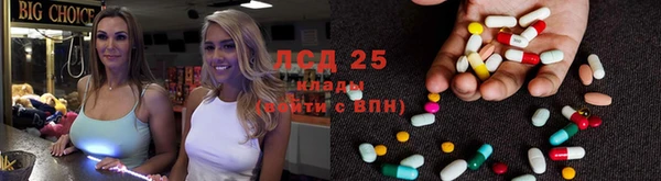 mdpv Инсар